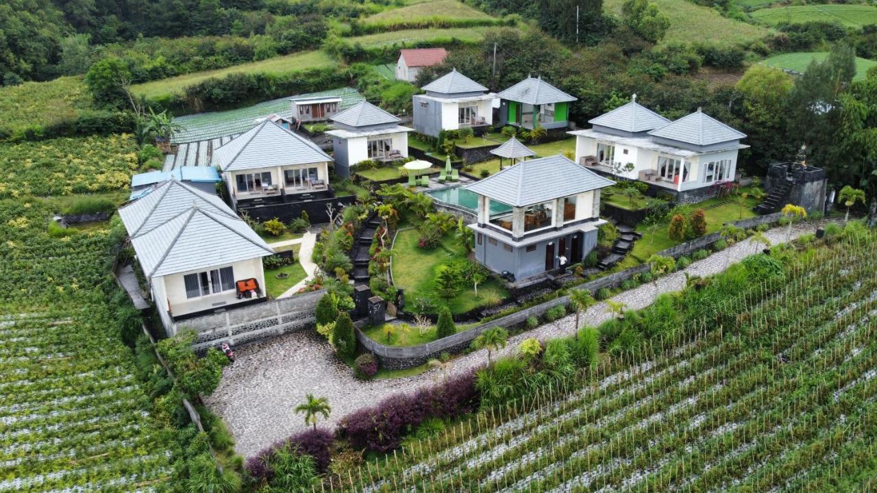 Batur Hill And Hot Spring Guest house Kintamani (Bali)